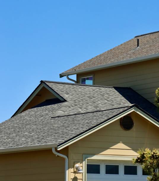 Best Roof Moss and Algae Removal  in Blue Ash, OH